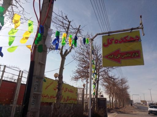 عکس دهکده گل ایرانیان