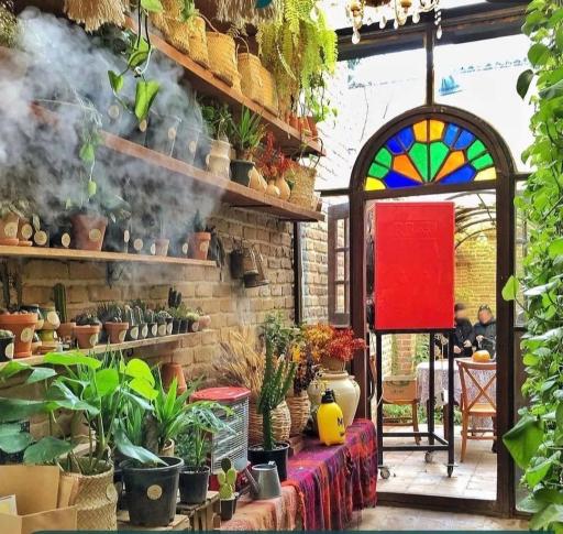 عکس گلخانه گیاچی