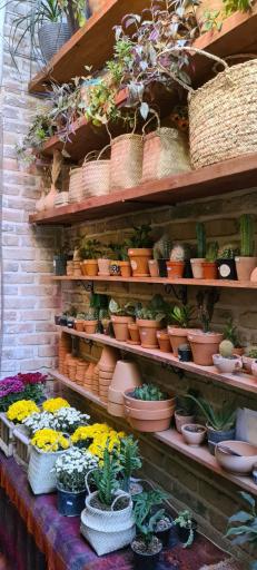 عکس گلخانه گیاچی