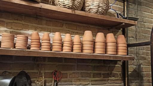 عکس گلخانه گیاچی