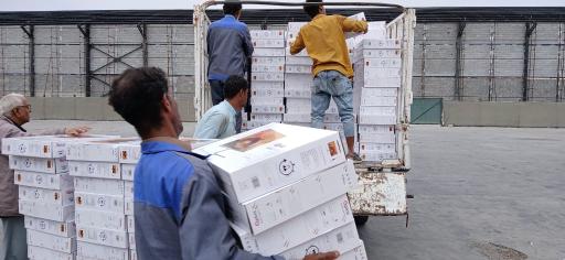 عکس بازرگانی و ترخیص کالا سعید نوروزی