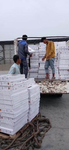 عکس بازرگانی و ترخیص کالا سعید نوروزی