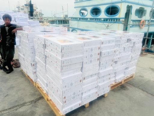 عکس بازرگانی و ترخیص کالا سعید نوروزی