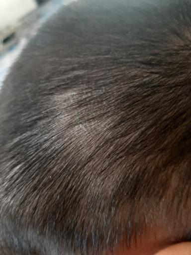 عکس سالن کشتی تختی