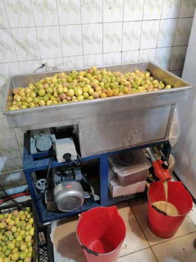 عکس سبزیجات آماده خاتون