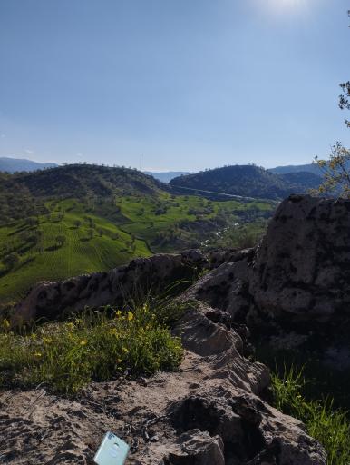 عکس بنارکبود پایین