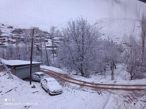 عکس بوجی