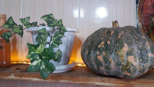 عکس آشپزخانه برکه