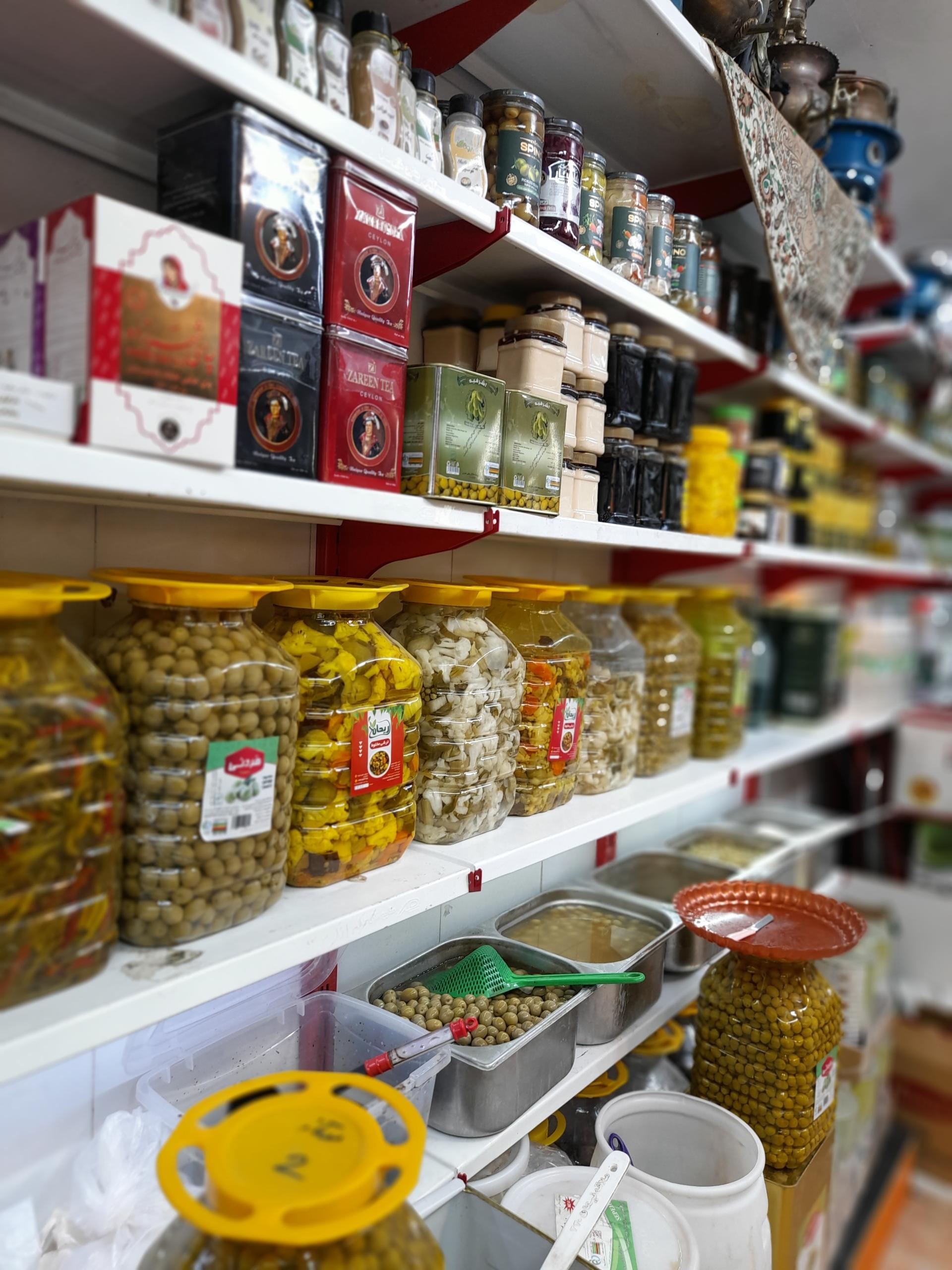 عکس زیتون شمال