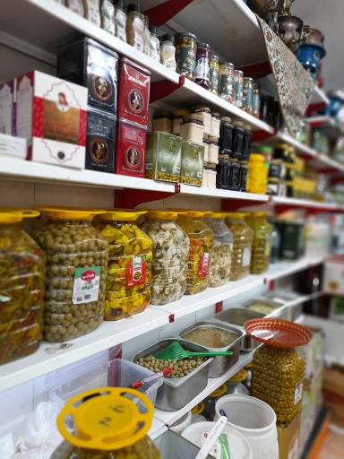 عکس زیتون شمال