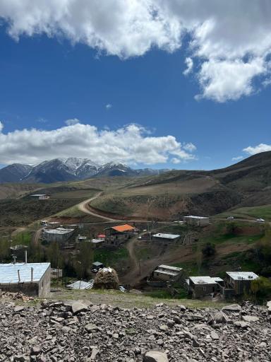 عکس بوجی