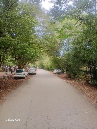 عکس پارک جنگلی سی سنگان