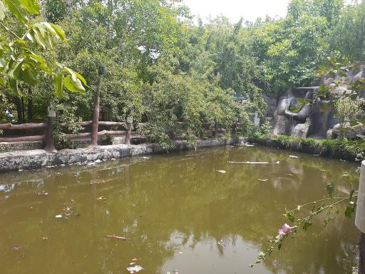 عکس باغچه اوبا