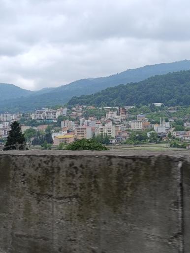 عکس شیرگاه