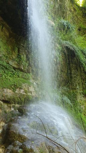 عکس شیرگاه