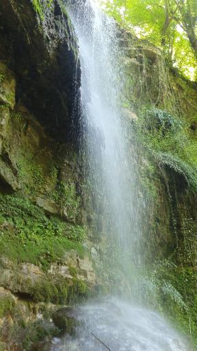 عکس شیرگاه