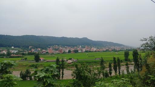 عکس شیرگاه