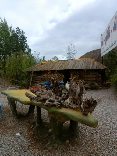 عکس شیرگاه