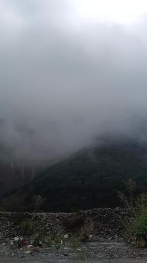 عکس شیرگاه