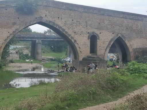عکس شیرگاه