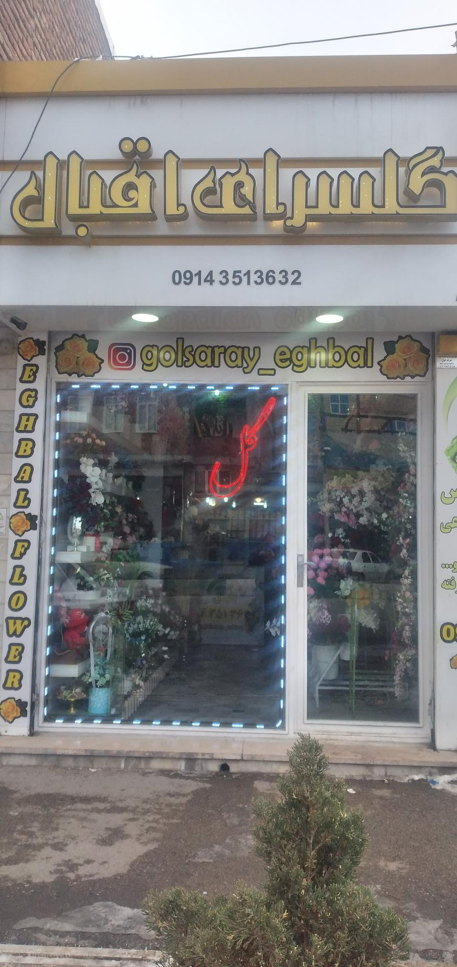 عکس گلسرای اقبال 