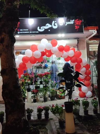 عکس گلسرای ناجی