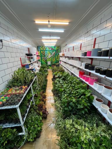 عکس گلسرای هستی