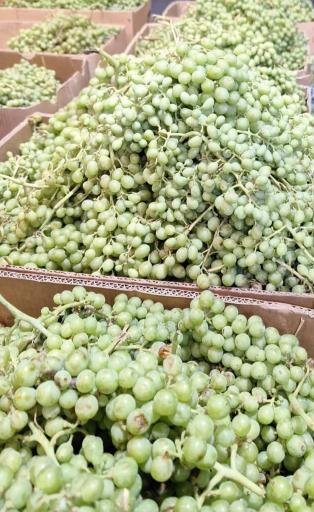 عکس آبلیمو و آبغوره قیماقی