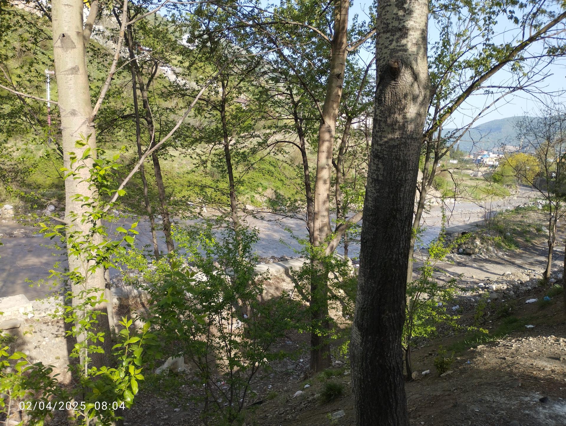 عکس پارک جوان (کندوان)