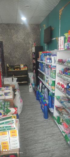 شوینده و آرایشی معین