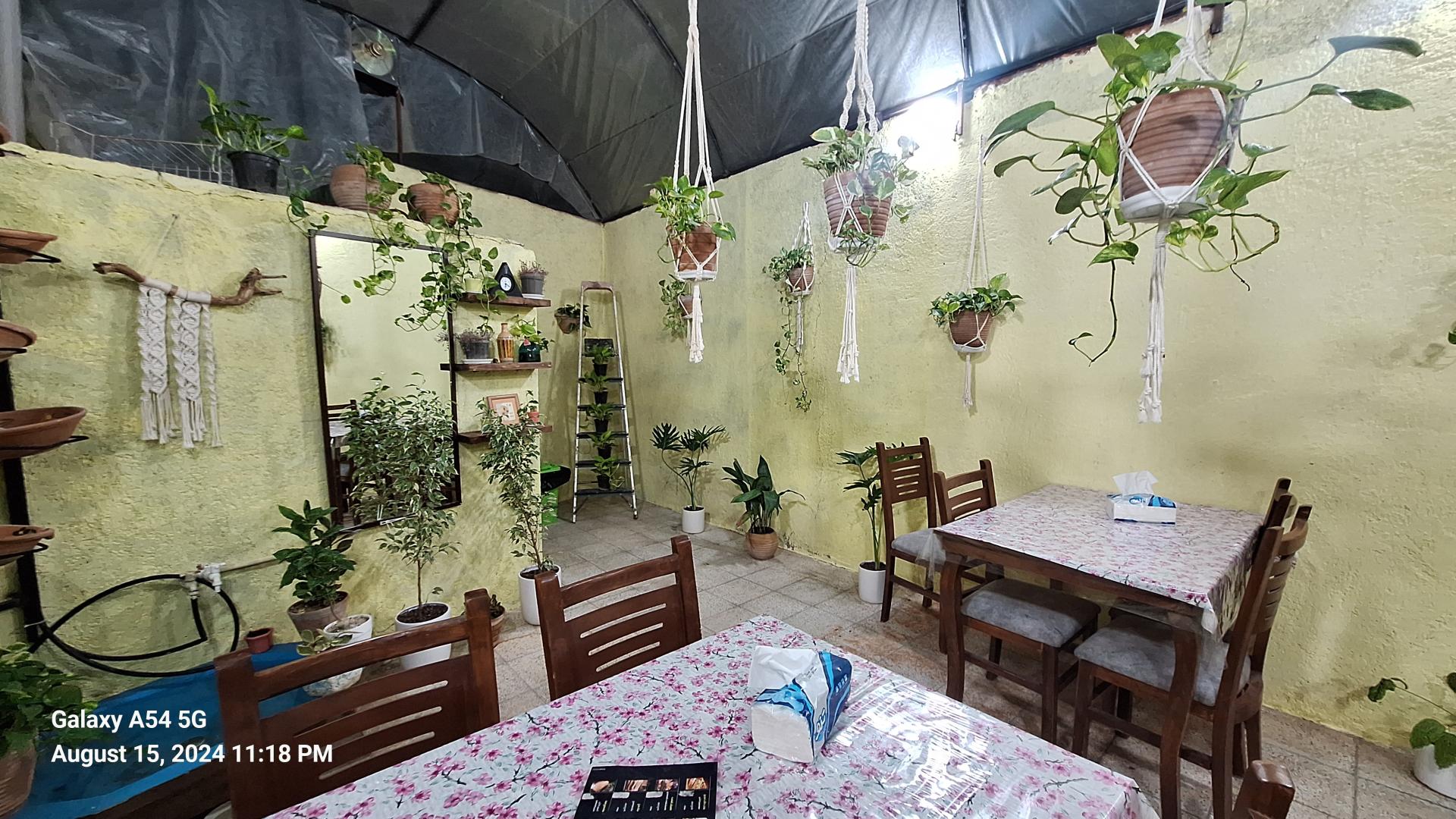 عکس فست فود قمری