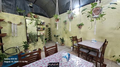 عکس فست فود قمری