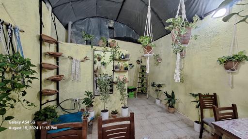 عکس فست فود قمری