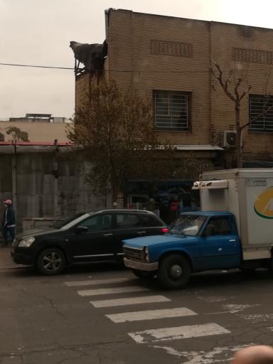 عکس فروشگاه کاغذ دیواری کف پوش انواع چسب و چاپ