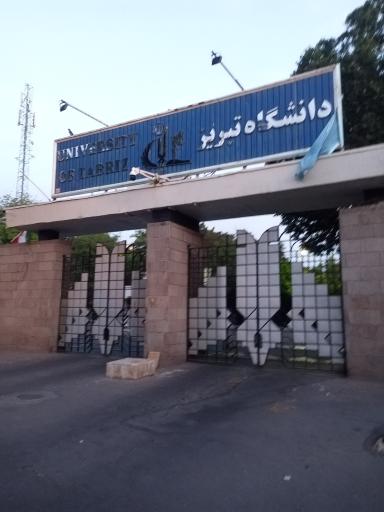 دانشگاه تبریز