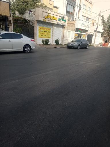 پسته کبیر عطارباشی