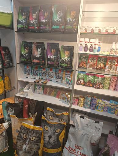 عکس پت شاپ سیمبا 