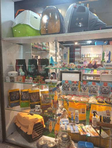 عکس پت شاپ سیمبا 