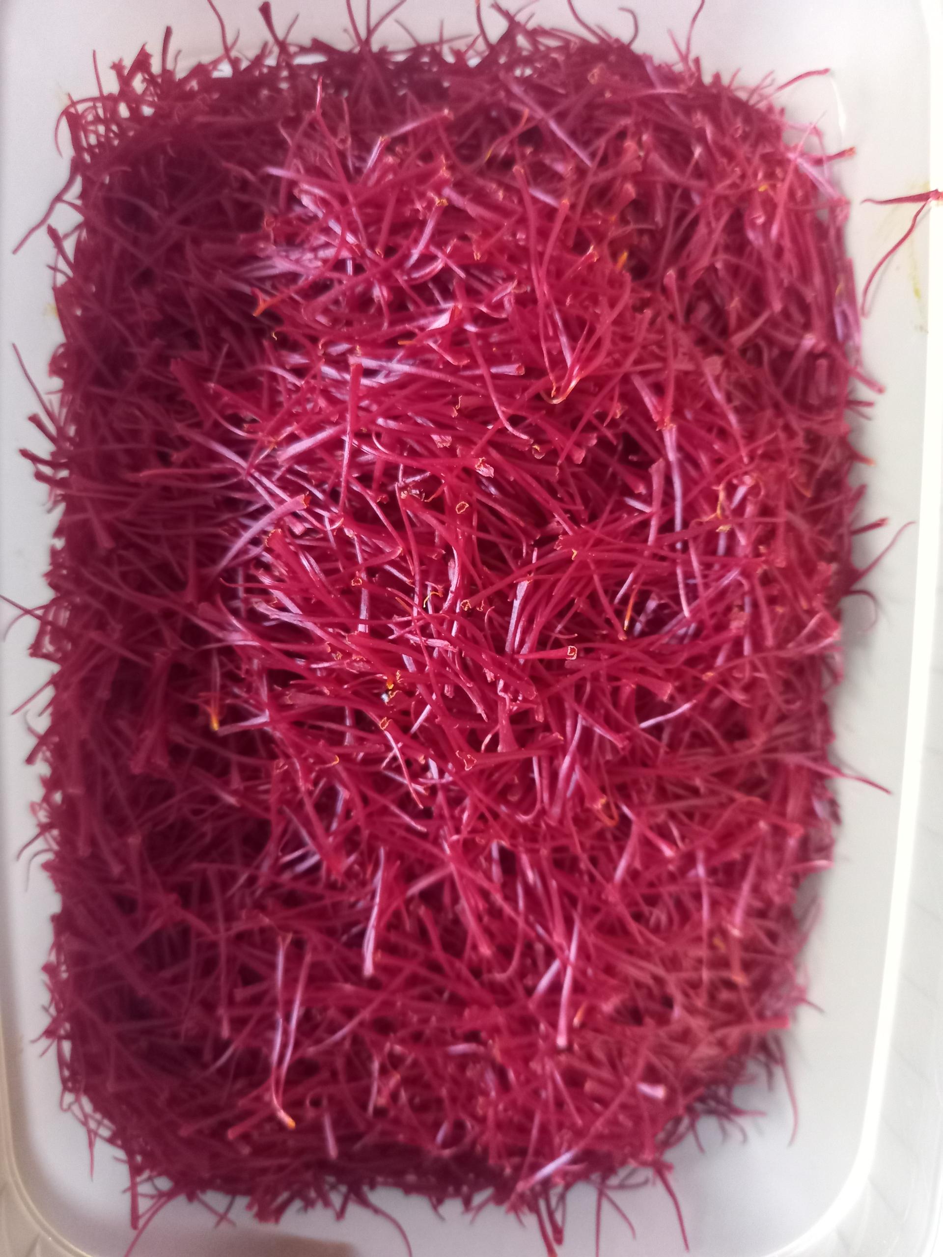 عکس زعفران امین الملک