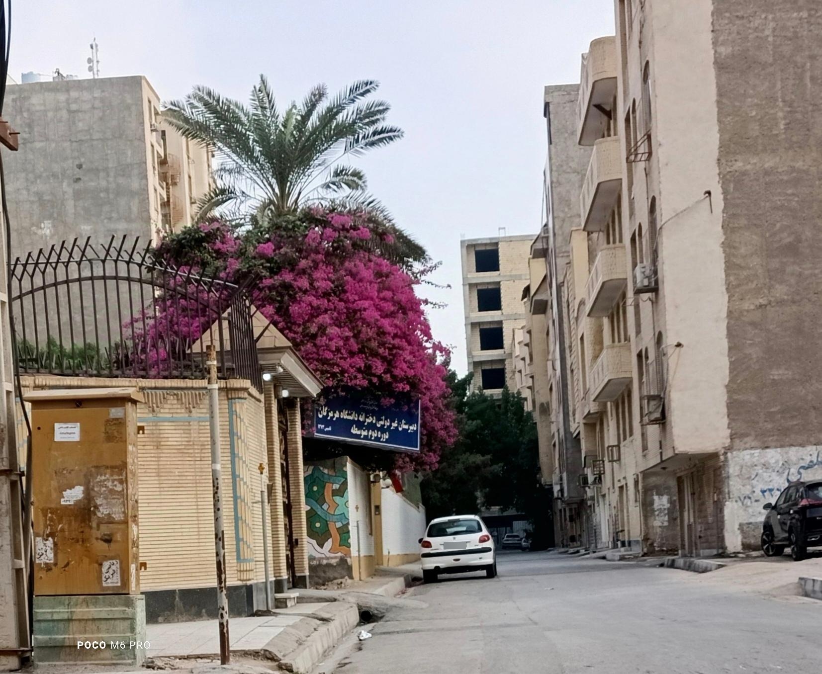 عکس دبیرستان غیردولتی دخترانه دانشگاه هرمزگان