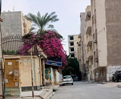 عکس دبیرستان غیردولتی دخترانه دانشگاه هرمزگان