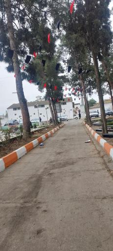 عکس آرامستان شهر سرخنکلاته