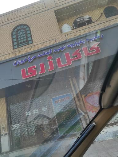 عکس نمایندگی گوشت مرغ کاکل زری