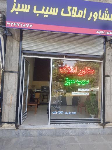 عکس مشاور املاک سیب سبز