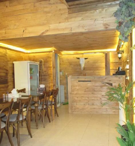 عکس غذای خانگی و فست فود وست فود