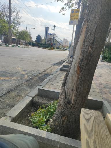 عکس  پروین اعتصامی 41