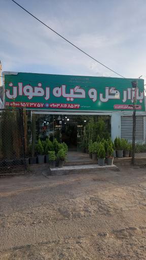 عکس بازار گل و گیاه رضوان