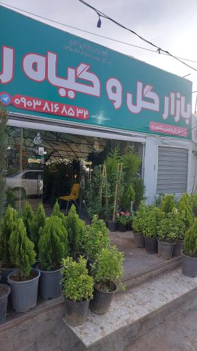 عکس بازار گل و گیاه رضوان