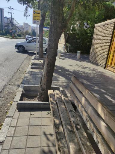 عکس  پروین اعتصامی 41