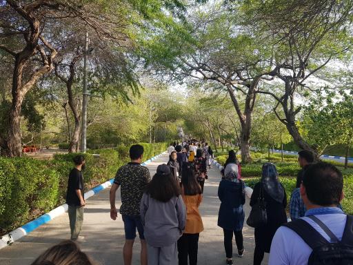 عکس باغ پرندگان کیش